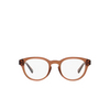 Polo Ralph Lauren PH2262 Eyeglasses 6086 shiny transparent brown - product thumbnail 1/3