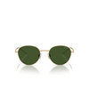 Polo Ralph Lauren PH3144 Sunglasses 942571 shiny pale gold - product thumbnail 1/3