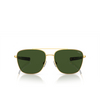 Gafas de sol Polo Ralph Lauren PH3147 941171 shiny gold - Miniatura del producto 1/3