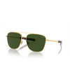 Lunettes de soleil Polo Ralph Lauren PH3147 941171 shiny gold - Vignette du produit 2/3