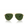 Gafas de sol Polo Ralph Lauren PH3148 941171 shiny gold - Miniatura del producto 1/3