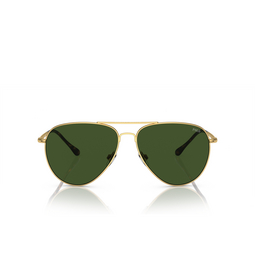 Gafas de sol Polo Ralph Lauren PH3148 941171 shiny gold