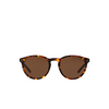 Polo Ralph Lauren PH4110 Sunglasses 513483 shiny antique havana - product thumbnail 1/3
