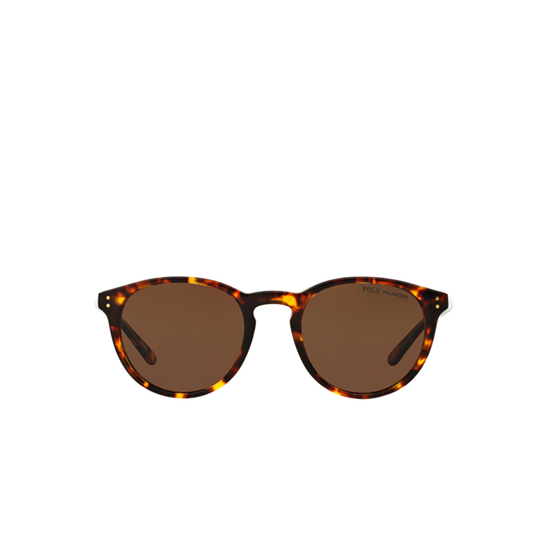Polo Ralph Lauren PH4110 Sunglasses 513483 shiny antique havana - 1/3