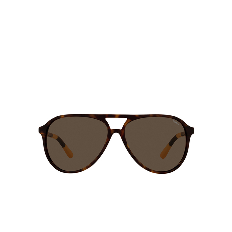 Occhiali da sole Polo Ralph Lauren PH4173 500373 shiny dark havana - 1/3