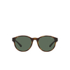 Polo Ralph Lauren PH4176 Sonnenbrillen 500371 shiny havana - Produkt-Miniaturansicht 1/3