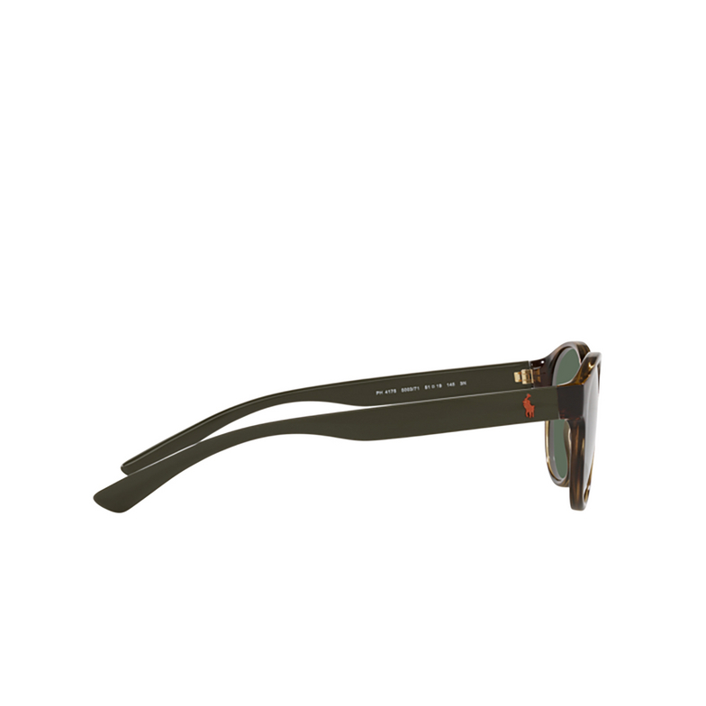 Polo Ralph Lauren PH4176 Sonnenbrillen 500371 shiny havana - 3/3