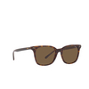 Lunettes de soleil Polo Ralph Lauren PH4187 500373 shiny dark havana - Vignette du produit 2/3