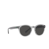 Lunettes de soleil Polo Ralph Lauren PH4192 541387 shiny transparent grey - Vignette du produit 2/3