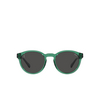 Gafas de sol Polo Ralph Lauren PH4192 608487 shiny transparent green - Miniatura del producto 1/3