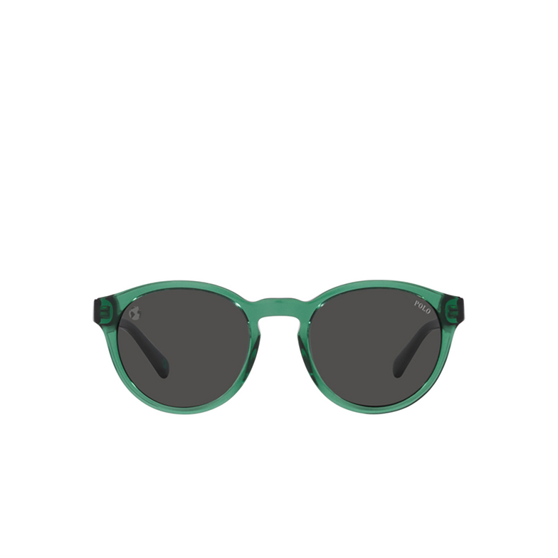 Gafas de sol Polo Ralph Lauren PH4192 608487 shiny transparent green - 1/3