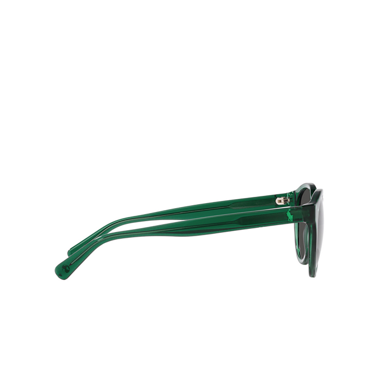 Gafas de sol Polo Ralph Lauren PH4192 608487 shiny transparent green - 3/3