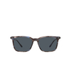 Gafas de sol Polo Ralph Lauren PH4194U 609087 shiny striped havana - Miniatura del producto 1/3