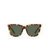 Polo Ralph Lauren PH4201U Sunglasses 607871 shiny havana - product thumbnail 1/3