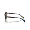 Lunettes de soleil Polo Ralph Lauren PH4204U 500373 shiny dark havana - Vignette du produit 3/3