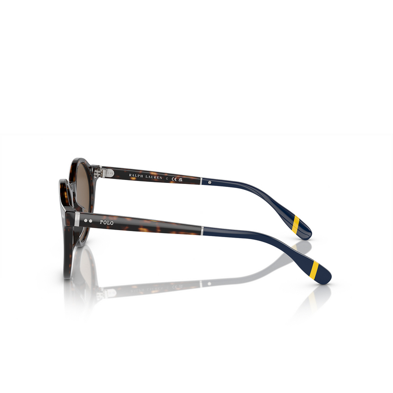 Gafas de sol Polo Ralph Lauren PH4204U 500373 shiny dark havana - 3/3