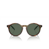 Occhiali da sole Polo Ralph Lauren PH4204U 501771 shiny brown tortoise - anteprima prodotto 1/3