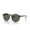 Occhiali da sole Polo Ralph Lauren PH4204U 501771 shiny brown tortoise - anteprima prodotto 2/3