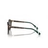 Lunettes de soleil Polo Ralph Lauren PH4204U 501771 shiny brown tortoise - Vignette du produit 3/3