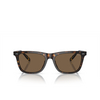 Lunettes de soleil Polo Ralph Lauren PH4205U 500373 shiny dark havana - Vignette du produit 1/3