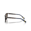 Lunettes de soleil Polo Ralph Lauren PH4205U 500373 shiny dark havana - Vignette du produit 3/3