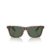 Polo Ralph Lauren PH4205U Sonnenbrillen 501771 shiny brown tortoise - Produkt-Miniaturansicht 1/3