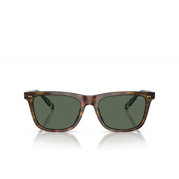 Gafas de sol Polo Ralph Lauren PH4205U 501771 shiny brown tortoise