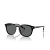 Lunettes de soleil Polo Ralph Lauren PH4206 500187 shiny black - Vignette du produit 2/3