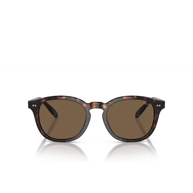 Gafas de sol Polo Ralph Lauren PH4206 500373 shiny dark havana - 1/3