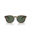 Lunettes de soleil Polo Ralph Lauren PH4206 501771 shiny brown tortoise - Vignette du produit 1/3