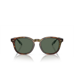 Gafas de sol Polo Ralph Lauren PH4206 501771 shiny brown tortoise