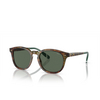 Polo Ralph Lauren PH4206 Sunglasses 501771 shiny brown tortoise - product thumbnail 2/3