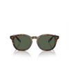 Polo Ralph Lauren PH4206 Sunglasses 50179A shiny brown tortoise - product thumbnail 1/3