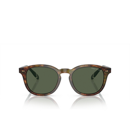 Gafas de sol Polo Ralph Lauren PH4206 50179A shiny brown tortoise