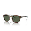 Lunettes de soleil Polo Ralph Lauren PH4206 50179A shiny brown tortoise - Vignette du produit 2/3