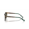 Lunettes de soleil Polo Ralph Lauren PH4206 50179A shiny brown tortoise - Vignette du produit 3/3