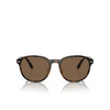 Lunettes de soleil Polo Ralph Lauren PH4207U 597473 shiny havana - Vignette du produit 1/3