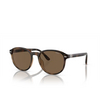 Lunettes de soleil Polo Ralph Lauren PH4207U 597473 shiny havana - Vignette du produit 2/3