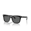 Polo Ralph Lauren PH4210 Sunglasses 500187 shiny black - product thumbnail 2/3