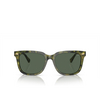 Polo Ralph Lauren PH4210 Sunglasses 543671 shiny green havana - product thumbnail 1/3