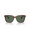 Polo Ralph Lauren PH4210 Sonnenbrillen 613771 shiny brown tortoise - Produkt-Miniaturansicht 1/3