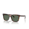 Polo Ralph Lauren PH4210 Sonnenbrillen 613771 shiny brown tortoise - Produkt-Miniaturansicht 2/3