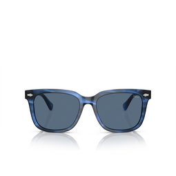 Gafas de sol Polo Ralph Lauren PH4210 613980 shiny striped blue