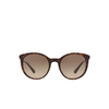 Prada CATWALK Sunglasses 2AU3D0 havana - product thumbnail 1/4
