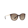 Prada CATWALK Sunglasses 2AU3D0 havana - product thumbnail 2/4