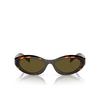 Prada PR 26ZS Sunglasses 14L09Z sage / honey tortoise - product thumbnail 1/4