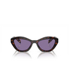 Prada PR A02S Sunglasses 17N50B havana - product thumbnail 1/4