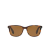 Occhiali da sole Ralph Lauren RL8162P 501753 shiny jerry havana - anteprima prodotto 1/4