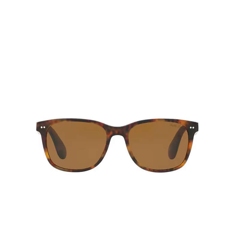 Occhiali da sole Ralph Lauren RL8162P 501753 shiny jerry havana - 1/4