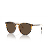 Gafas de sol Ralph Lauren RL8181P 513453 havana - Miniatura del producto 2/4